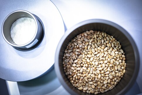 Two round containers stand next to each other: one filled with wheat grains, the other with flour.