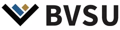 BVSU logo with stylised ‘V’ in black, blue and gold next to the bold black letters ‘BVSU’.