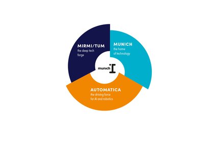 Kreisdiagramm mit den Abschnitten 