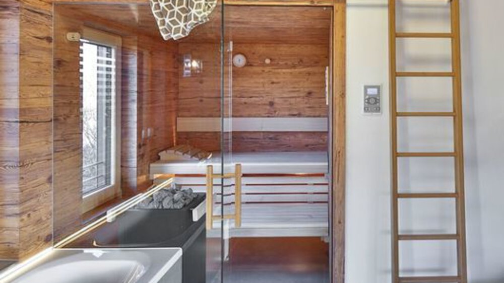 Modernes Badezimmer mit holzgetäfelter Sauna, Glastür, Leiter und zeitgenössischer Leuchte.
