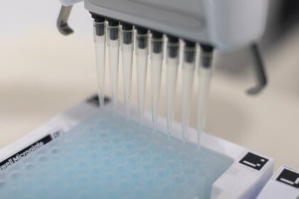 Pipettes attached to a device that automatically fills sample tubes.