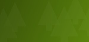 Grüner Hintergrundverlauf, auf dem stilisierte halbtransparente Tannenbäume angeordnet sind.