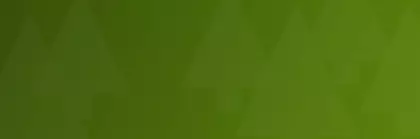 Green background graphic with subtle, dark green triangular shapes intended to represent trees.