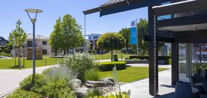 Ein sonniger Tag im Bauzentrum Poing mit geschnittenen Hecken und kleinen Bäumen  neben einem modernen Gebäude.