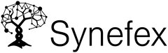 Logo Synefex