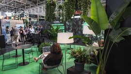 Überblick über die Startup Area mit Branding. 