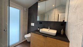 Ein Tageslichtbad mit einem weißen Waschbecken, Holzunterschrank, Spiegelschrank und einem weißen WC.