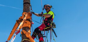 Ein Mann in Kletterausrüstung hängt an einem aufgestellten Baumstamm, der mit orangenen Gurten fixiert wurde.