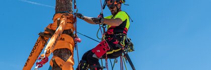 Ein Mann in Kletterausrüstung hängt an einem aufgestellten Baumstamm, der mit orangenen Gurten fixiert wurde.