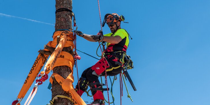 Ein Mann in Kletterausrüstung hängt an einem aufgestellten Baumstamm, der mit orangenen Gurten fixiert wurde.