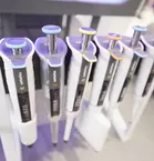 Six mechanical pipettes in a row