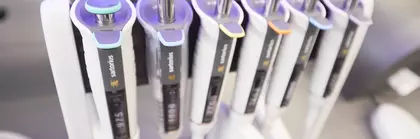 Sechs mechanische Pipetten in einer Reihe