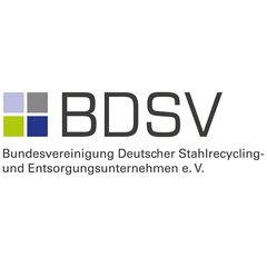 BDSV logo