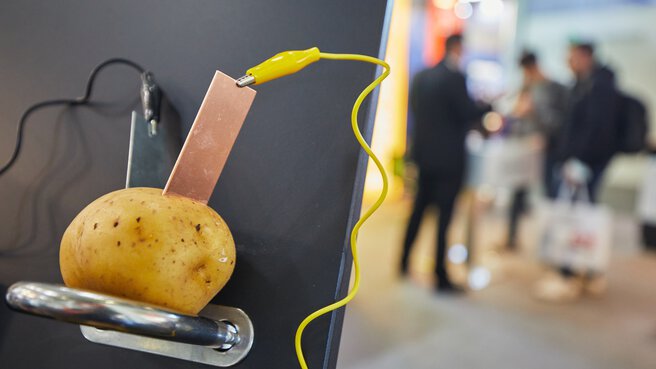 Eine Kartoffel dient als Batterie. Sie ist auf einer Demonstrationstafel montiert. Im unscharfen Hintergrund stehen Personen.