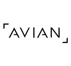 Minimalist black wordmark ‘AVIAN’ on a white background, framed by subtle corner marks.