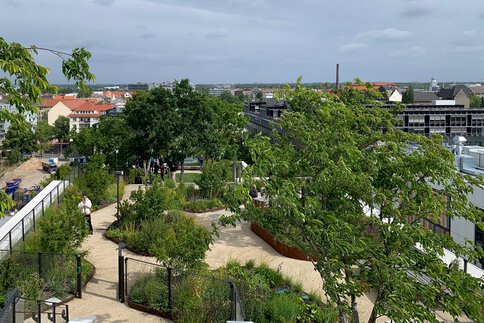 Der üppig bepflanzte Dachgarten des Bürogebäudes AERA in Berlin. 