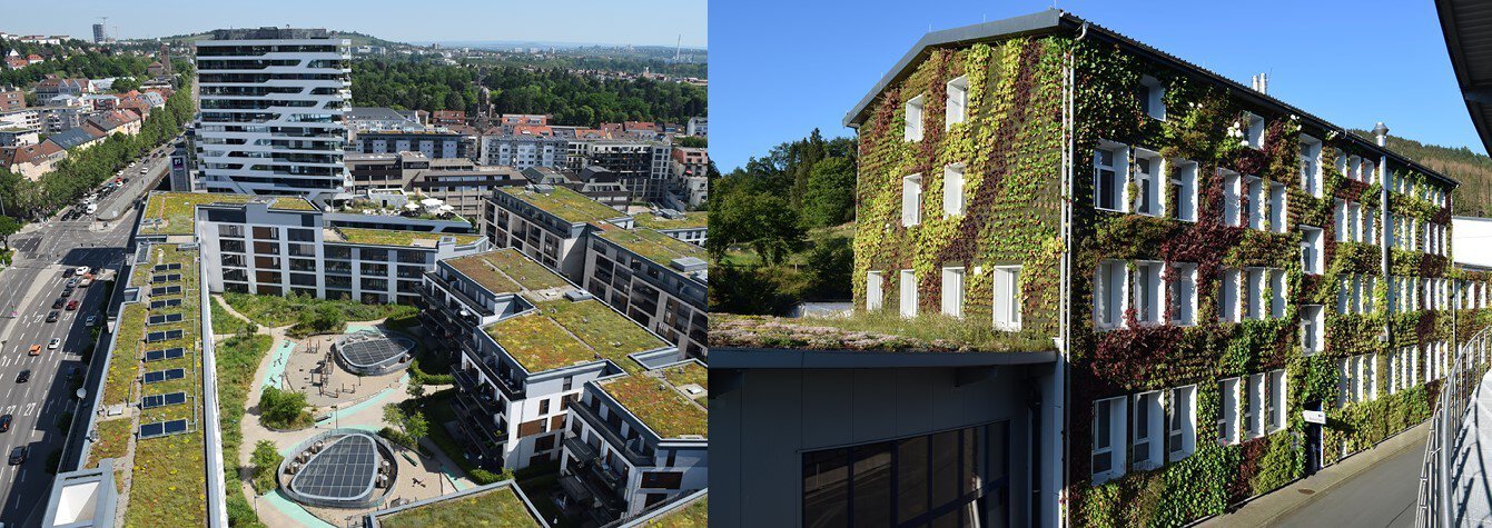 Zwei Bilder, die unterschiedliche Gebäude mit Dachbegrünung bzw. der Begrünung einer Hausfassade zeigen.