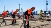 Three men with protective clothing and chainsaws saw off wooden poles that have been inserted into long tree trunks in a competition.