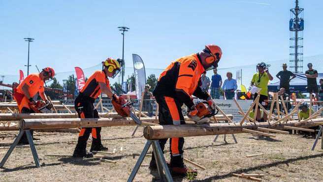 Three men with protective clothing and chainsaws saw off wooden poles that have been inserted into long tree trunks in a competition.