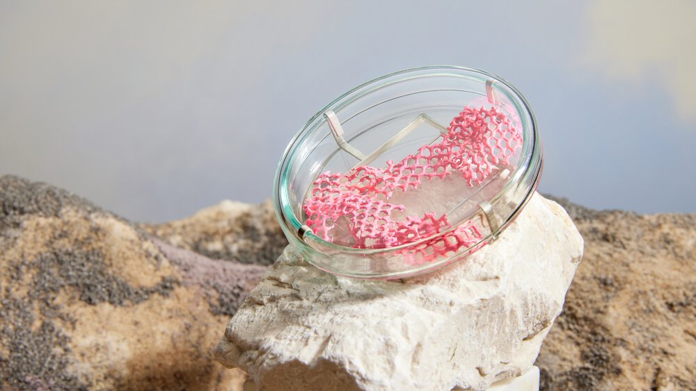 Design Newcomer: Finja Stöck