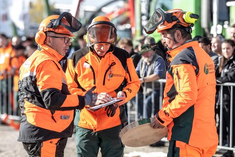 Three forestry workers in orange protective clothing and helmets examine a piece of wood.
