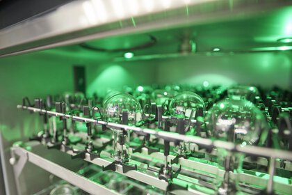 Close-up: Round-bottom flasks are turned upside down in a green-lit dishwasher for laboratory utensils.