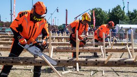 Drei Männer in orangefarbener Ausrüstung schneiden bei der INTERFORST im Freien mit Kettensägen Holzstücke ab, die in liegende Baumstämme gesteckt wurden.