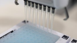 Die Weiterentwicklung der PFAS-Analytik zählt zu den Top-Themen der analytica 2024. 