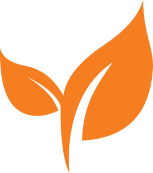 Orange icon of a plant consisting of two stylized leaves.