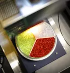 A three-part Petri dish filled with red, green and transparent particles in an analyzer