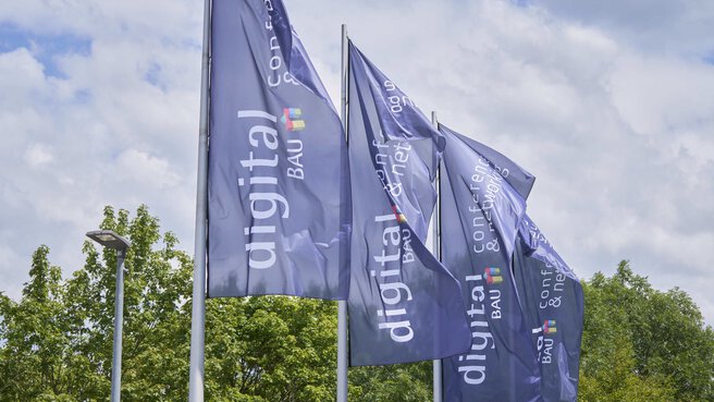 Blue flags with white 