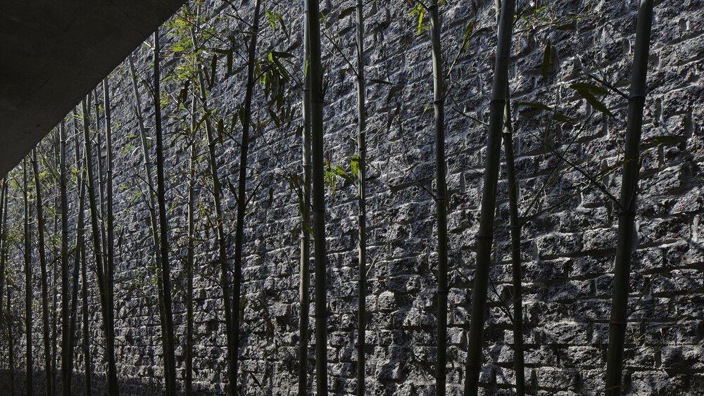 Hohe Bambusstäbe werfen Schatten auf eine strukturierte Steinmauer im Halbschatten.