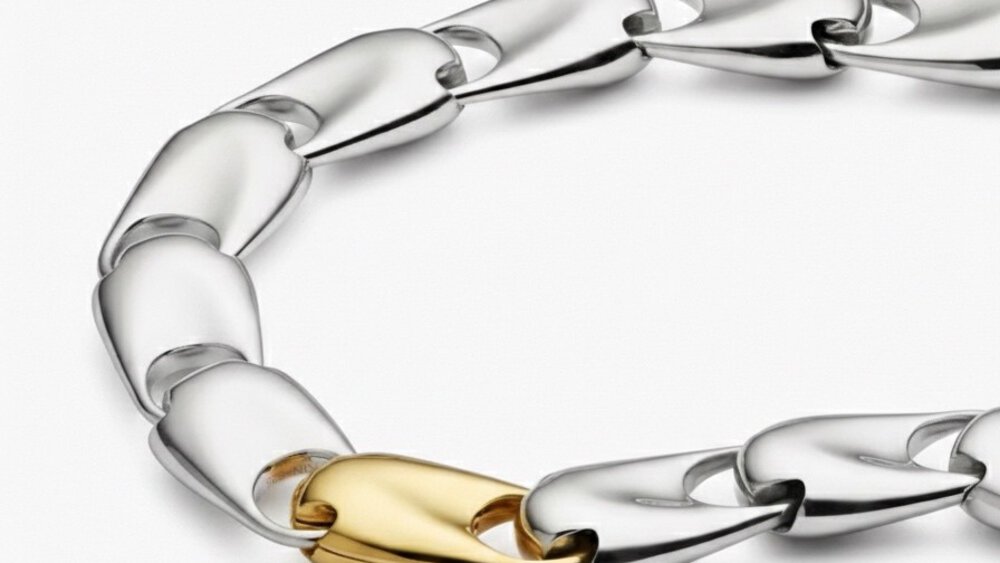 A delicate long chain with lots of silver drop-shaped links that are all the same size and one gold link that really stands out.