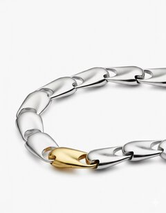 A delicate long chain with lots of silver drop-shaped links that are all the same size and one gold link that really stands out.