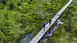 Two people walk along a boardwalk through a lush, green wetland in the Bavarian Forest.