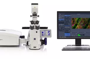 The ZEISS LSM 880 with Airyscan for multiphoton experiments