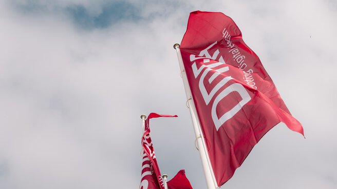 DMEA flags waving in the wind against a bright sky at the venue