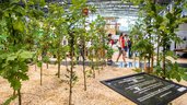 Besucher gehen durch eine bepflanzte Ausstellungsfläche mit jungen Bäumen, Holzmulch und Infotafel in einer Messehalle.