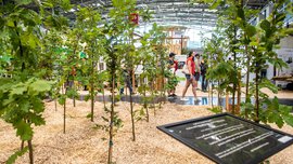 Besucher gehen durch eine bepflanzte Ausstellungsfläche mit jungen Bäumen, Holzmulch und Infotafel in einer Messehalle.