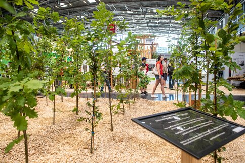 Visitors walk through a planted exhibition area with young trees, wood chips, and an information panel inside a trade fair hall.