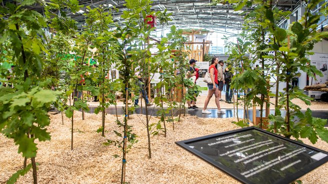 Besucher gehen durch eine bepflanzte Ausstellungsfläche mit jungen Bäumen, Holzmulch und Infotafel in einer Messehalle.
