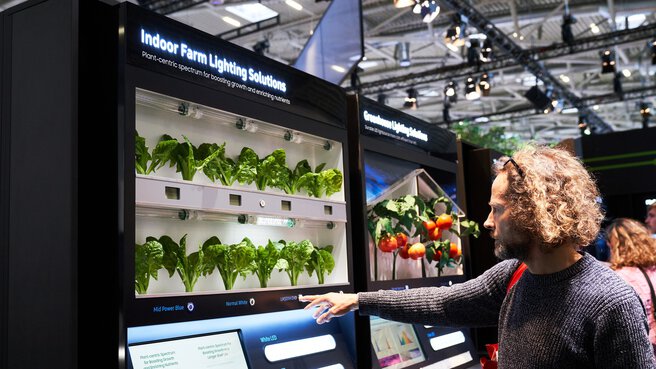 Person, die mit einer Ausstellung über Beleuchtungslösungen für landwirtschaftliche Innenräume interagiert, in der Pflanzen und Tomaten ausgestellt sind.