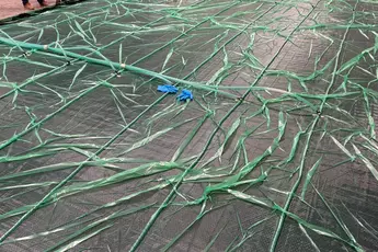 Close-up of a green tarpaulin with torn strips and a hose on it. Next to the hose are some blue gloves.