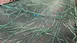 Close-up of a green tarpaulin with torn strips and a hose on it. Next to the hose are some blue gloves.