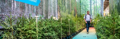 Man walks on fair path between fir trees with sign “Time travel to future forest”