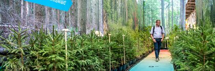 Mann geht auf Messeweg zwischen Tannenbäumen mit Schild „Zeitreise zum Zukunftswald“