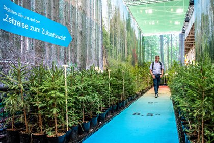 Mann geht auf Messeweg zwischen Tannenbäumen mit Schild „Zeitreise zum Zukunftswald“