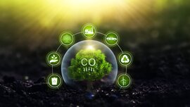 Illustration eines Bonsaibaums in einer Seifenblase der aus dunkler Erde wächst. Um die Blase ist ein Bogen mit diverse Icons für Recycling und erneuerbare Energien.