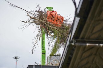 Shredder for green waste