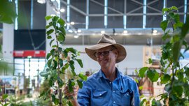 Mann mit Hut steht an einem Messestand zwischen jungen Bäumen und betrachtet eine Pflanze in einer Ausstellungshalle.